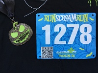 2016 Run Scream Run 10K  2016 Run Scream Run 10K : 10K, Ann Arbor, kasdorf, running